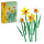LEGO Botanicals 40747 Żonkile - 1202095 - zdjęcie 2